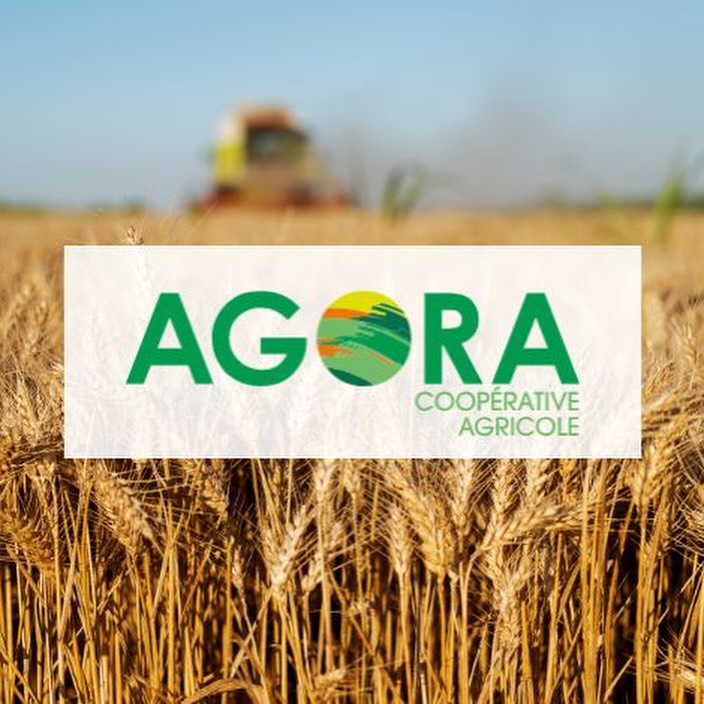 Agora